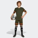 Koszulka adidas Squadra 25 Jr JN7853 152cm