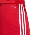Spodenki adidas Squadra 25 M JE7745 M