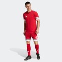 Spodenki adidas Squadra 25 M JE7745 M