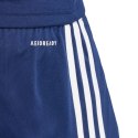 Spodenki adidas Squadra 25 M JN5468 M