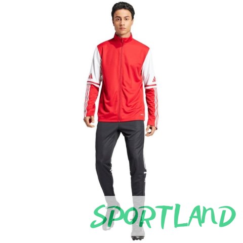 Bluza adidas Squadra 25 Training M JD2979 M Bluza adidas Squadra 25 Training M JD2979 M