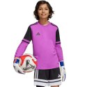 Koszulka bramkarska adidas Squadra 25 Long Sleeve Jr JJ1939 152cm