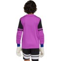 Koszulka bramkarska adidas Squadra 25 Long Sleeve Jr JJ1939 152cm