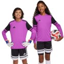 Koszulka bramkarska adidas Squadra 25 Long Sleeve Jr JJ1939 152cm
