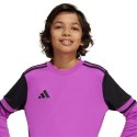 Koszulka bramkarska adidas Squadra 25 Long Sleeve Jr JJ1939 152cm