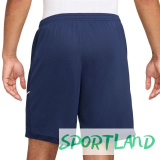 Spodenki Nike Dri-Fit Academy 25 M FZ9776 410 M