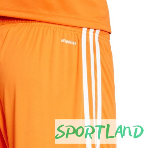 Spodenki adidas Squadra 25 M JC8676 L Spodenki adidas Squadra 25 M JC8676 L