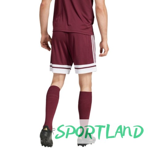 Spodenki adidas Squadra 25 M JC8677 L Spodenki adidas Squadra 25 M JC8677 L