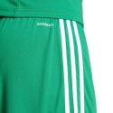 Spodenki adidas Squadra 25 M JN7482 S