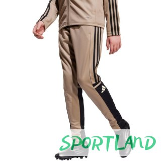Spodnie adidas Squadra 25 Training Jr JP3371 152cm