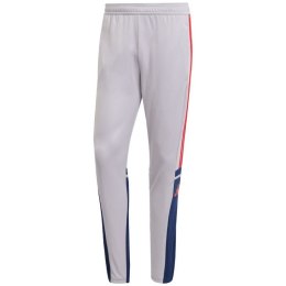 Spodnie adidas Squadra 25 Training M JP3372 M