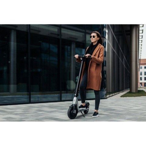 Hulajnoga Scooter Plus JSP-120-0 N/A Hulajnoga Scooter Plus JSP-120-0 N/A