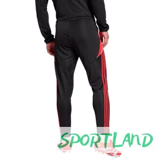 Spodnie adidas Tiro 24 Slim Training M JP2489 M