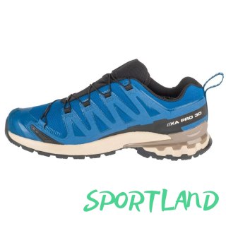 Buty do biegania Salomon XA Pro 3D v9 GTX M L47817200 42 2/3