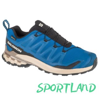 Buty do biegania Salomon XA Pro 3D v9 GTX M L47817200 45 1/3