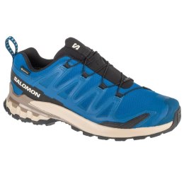 Buty do biegania Salomon XA Pro 3D v9 GTX M L47817200 46