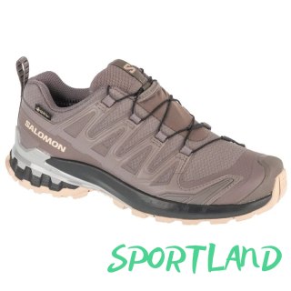 Buty do biegania Salomon XA Pro 3D v9 GTX W L47744500 40