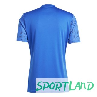 Koszulka adidas Team Icon 25 M JG3550 L (183cm)