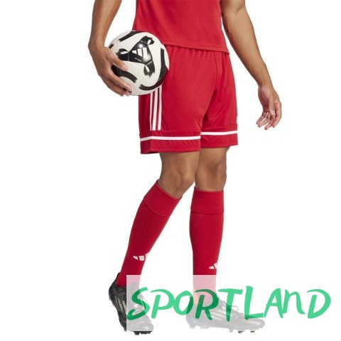 Spodenki piłkarskie adidas Squadra M 25 Short JN5466 L Spodenki piłkarskie adidas Squadra M 25 Short JN5466 L