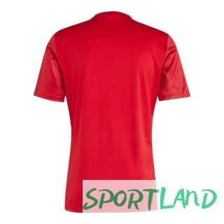 Koszulka adidas Team Icon 25 M JM8360 M (178cm)
