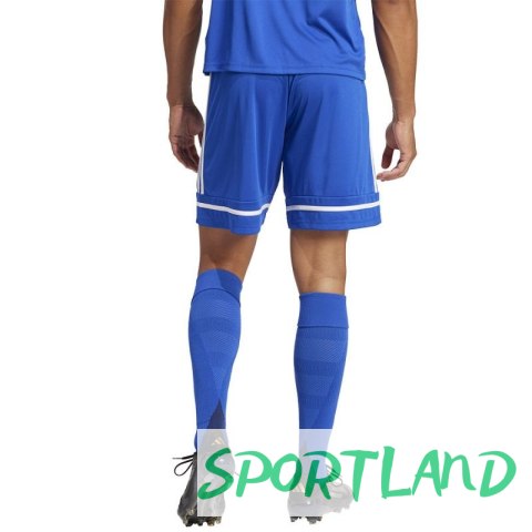 Spodenki adidas Squadra M 25 Short JN5465 M Spodenki adidas Squadra M 25 Short JN5465 M