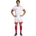 Spodenki adidas Squadra 25 M JH3404 L