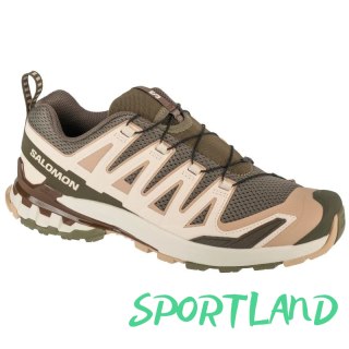 Buty do biegania Salomon XA Pro 3D v9 GTX M L47583300 43 1/3