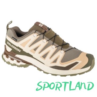 Buty do biegania Salomon XA Pro 3D v9 GTX M L47820200 46