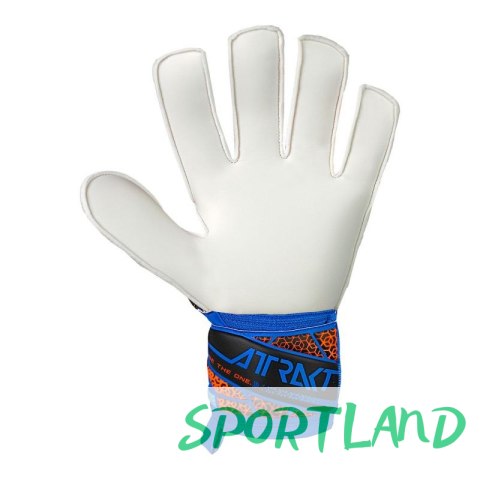 Rękawice bramkarskie Reusch Attrakt Solid M 5570515 4467 10 Rękawice bramkarskie Reusch Attrakt Solid M 5570515 4467 10