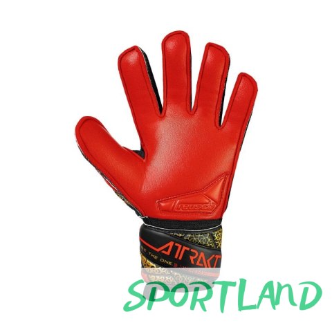 Rękawice bramkarskie Reusch Attrakt Silver Jr 5572215 7075 6,5 Rękawice bramkarskie Reusch Attrakt Silver Jr 5572215 7075 6,5