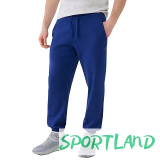 Spodnie 4F Cas M1139 M 4FWMM00TTROM1139 031S L