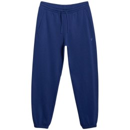 Spodnie 4F Cas M1139 M 4FWMM00TTROM1139 031S XL