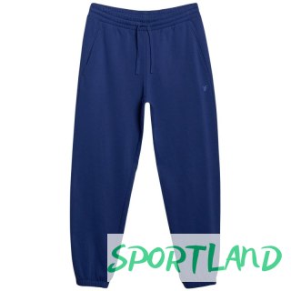 Spodnie 4F Cas M1139 M 4FWMM00TTROM1139 031S S