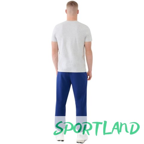 Spodnie 4F Cas M1139 M 4FWMM00TTROM1139 031S S Spodnie 4F Cas M1139 M 4FWMM00TTROM1139 031S S