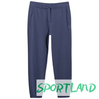 Spodnie 4F Cas M1139 M 4FWMM00TTROM1139 32S L