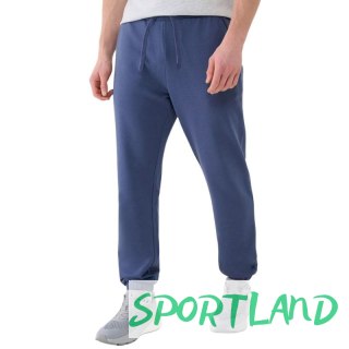 Spodnie 4F Cas M1139 M 4FWMM00TTROM1139 32S L
