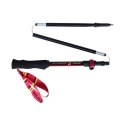 Kije trekkingowe Viking Kettera Pro Lady Trekking 610-25-7713-0946-UNI N/A
