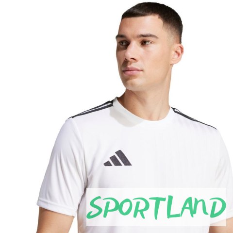 Koszulka adidas Campeon 25 Jersey M JF6059 M Koszulka adidas Campeon 25 Jersey M JF6059 M