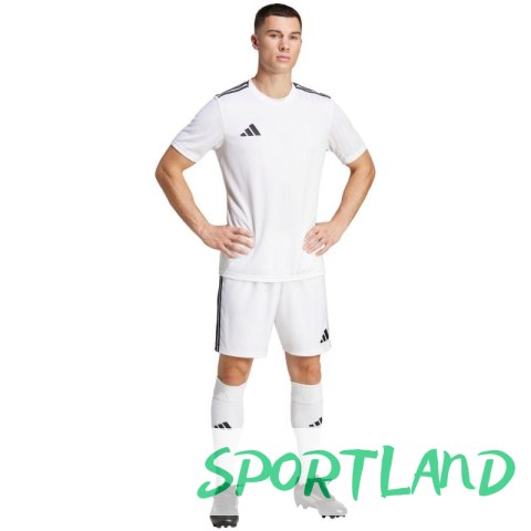 Koszulka adidas Campeon 25 Jersey M JF6059 M Koszulka adidas Campeon 25 Jersey M JF6059 M