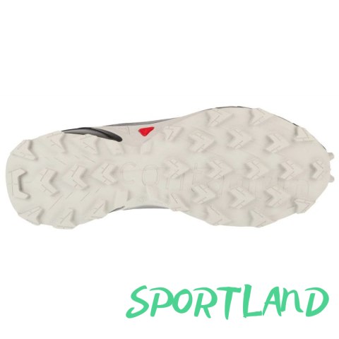 Buty do biegania Salomon Alphacross 5 M 473133 43 1/3 Buty do biegania Salomon Alphacross 5 M 473133 43 1/3