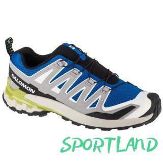 Buty do biegania Salomon XA Pro 3D v9 M L47747800 40 2/3