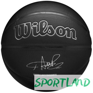 Piłka do koszykówki Wilson NBA Player Evergreen Bskt Giannis WZ4026701XB 7