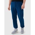Spodnie 4F M 4FWMM00TTROM1139-46S 2XL