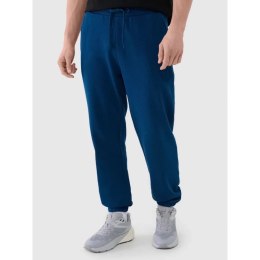 Spodnie 4F M 4FWMM00TTROM1139-46S XL