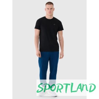Spodnie 4F M 4FWMM00TTROM1139-46S XL