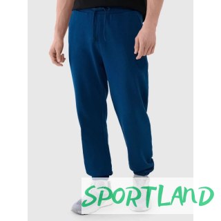 Spodnie 4F M 4FWMM00TTROM1139-46S M