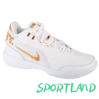 Buty Nike LeBron NXXT Gen AMPD FJ1566-103 44
