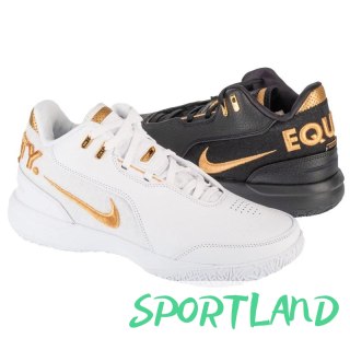 Buty Nike LeBron NXXT Gen AMPD FJ1566-103 45