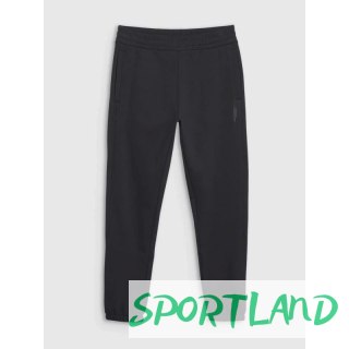 Spodnie 4F M 4FWSS25TTROM1014-20S M