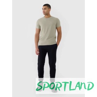 Spodnie 4F M 4FWSS25TTROM1014-20S M